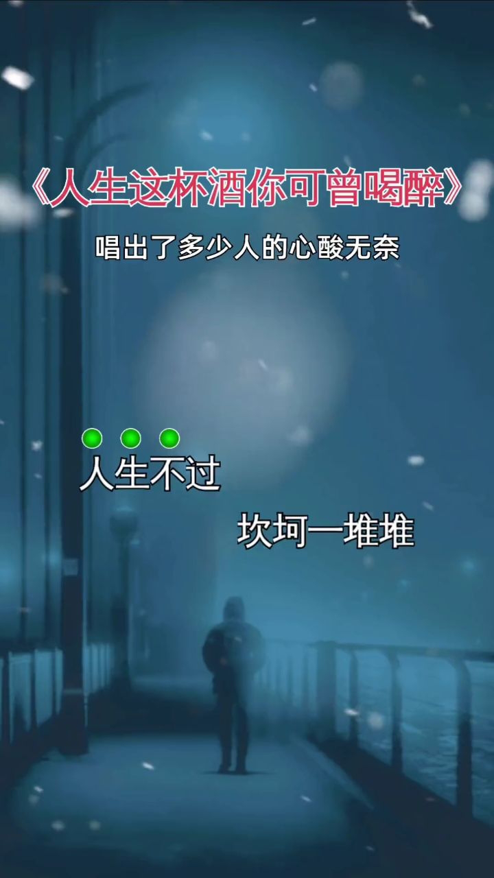 人生这杯酒你可曾喝醉#伤感音乐 #句句入心 #唱出了多少人的心声