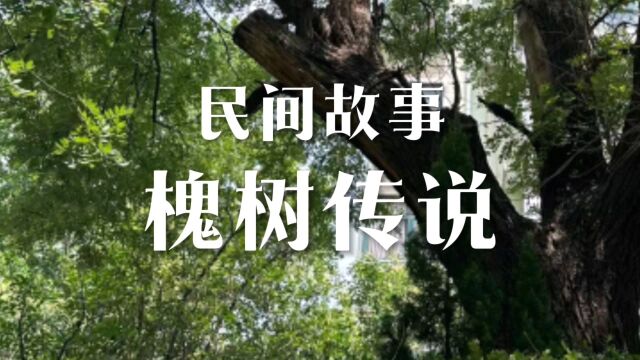 民间故事《槐树传说》