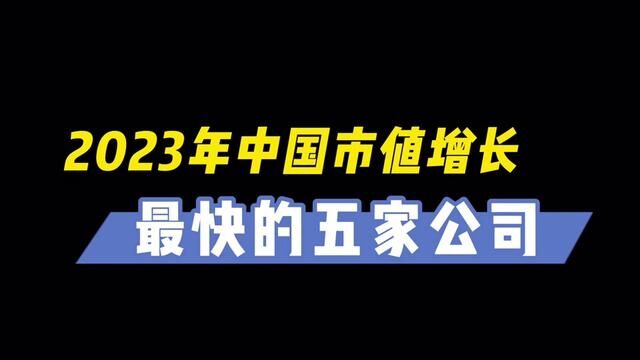 中国2023哪些公司最有潜力?有你认识的吗? #大国崛起 #新能源 #科技