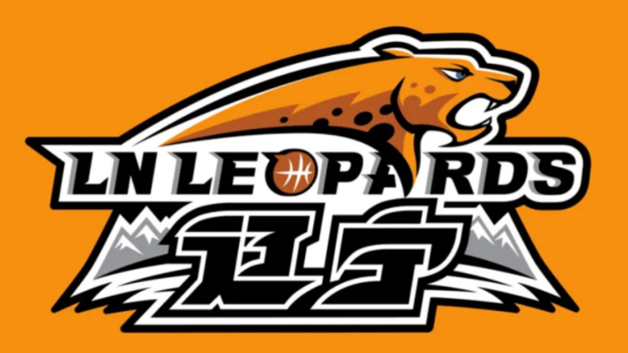 常规操作?辽宁队与广厦队球迷发生大冲突,大批保安快速出动