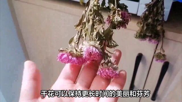 干花制作方法,让你的爱花不再凋零!