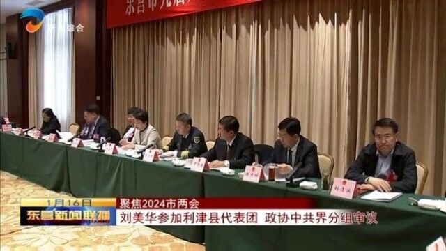 刘美华参加利津县代表团 政协中共界分组审议