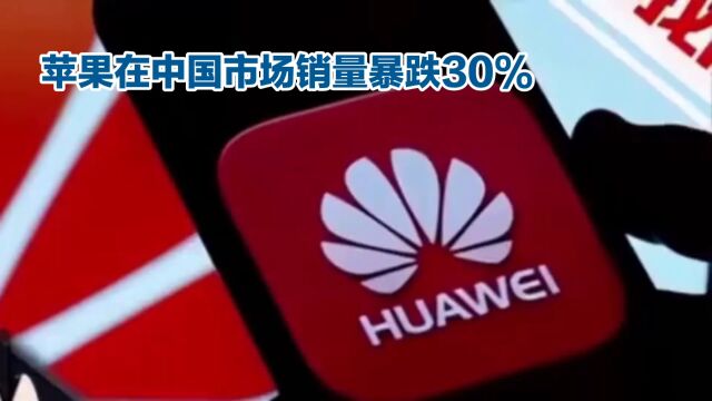 苹果在中国市场销量暴跌30%