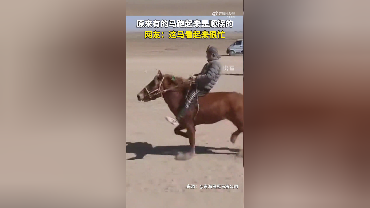 原来有的马跑起来是顺拐的!(来源:新华网)