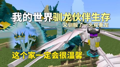 我的世界驯龙伙伴生存:又驯服了一头双重龙