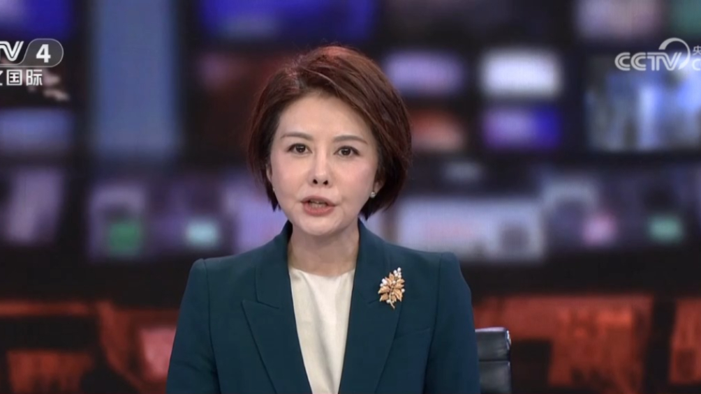 美副总统哈里斯在拜登退选后开始竞选活动