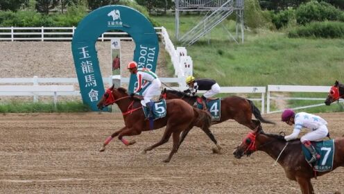 20240810玉龙国际赛马公开赛d14 第1场 国产两岁纯血马系列常规赛未冠