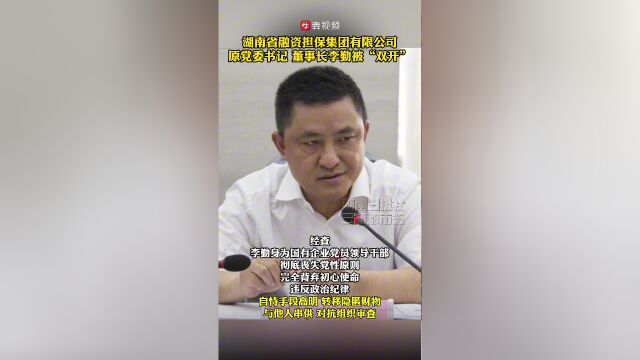 李勤 湖南省担保图片