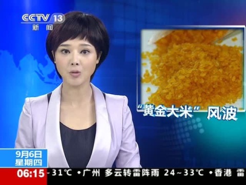 黄金大米风波