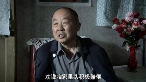 《我的父亲母亲》第12集精彩片花