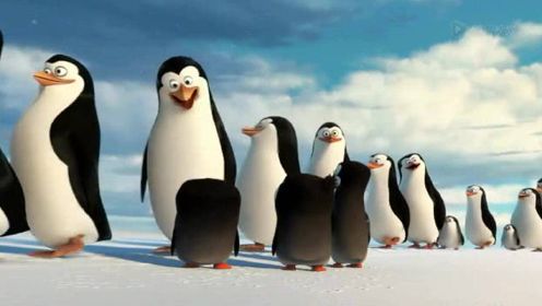 精彩片段：企鹅四贱客幼年版 萌化了