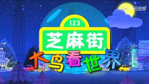 芝麻街：大鸟看世界 50集