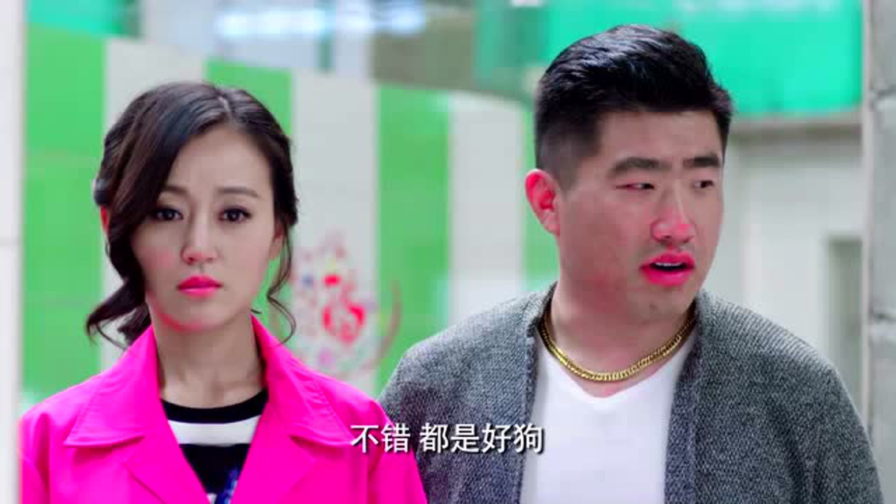 警花与警犬 11集