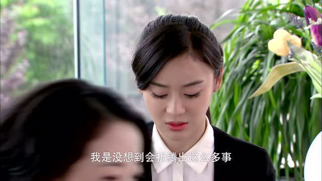 家有喜妇 13集
