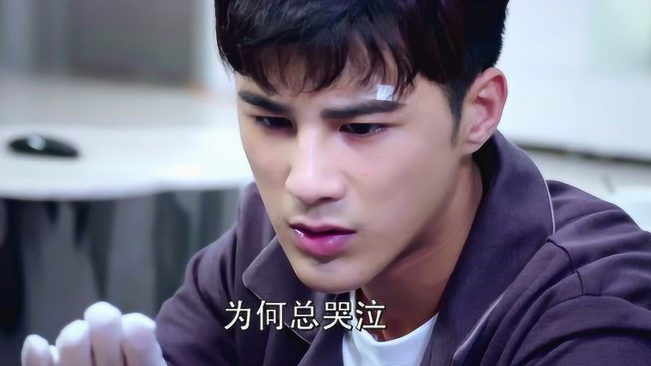 狐狸的夏天第二季 18集