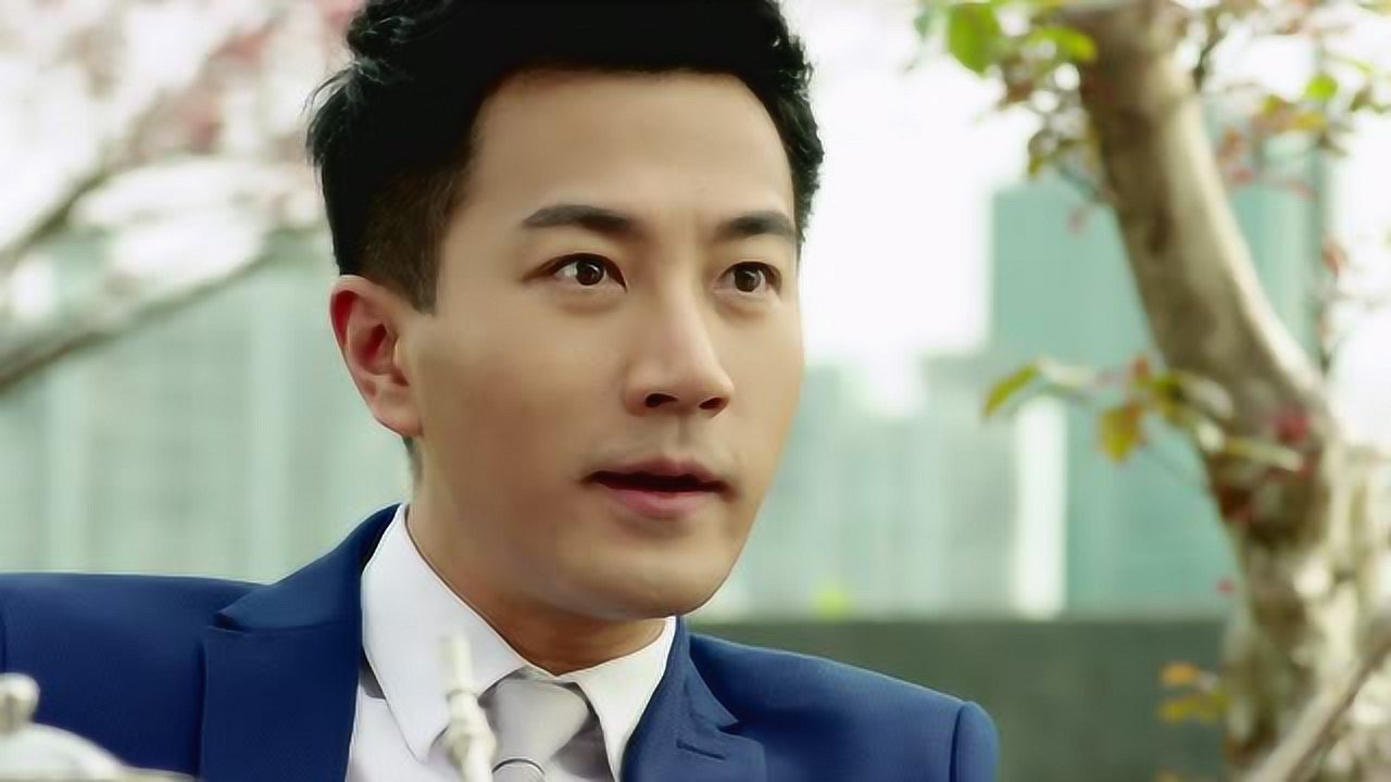 继承人 16集