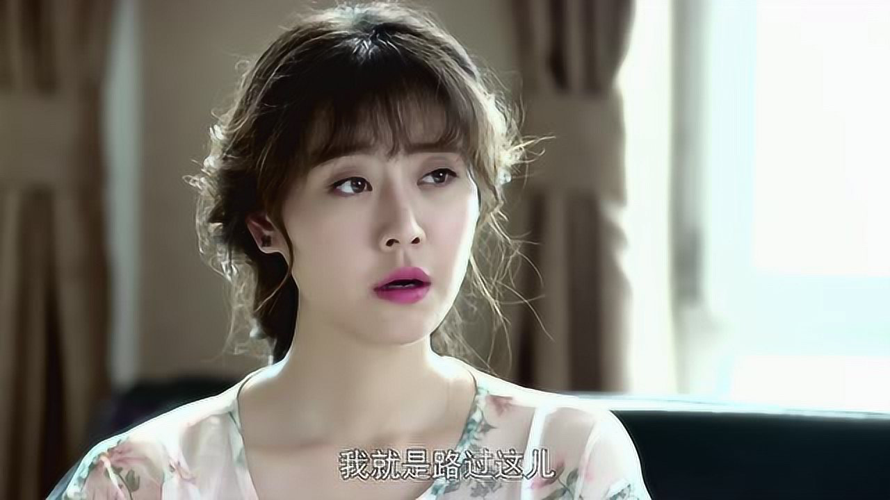 警察锅哥第1季 12集