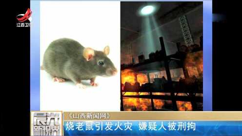 《山西新闻网》烧老鼠引发火灾 嫌疑人被刑拘
