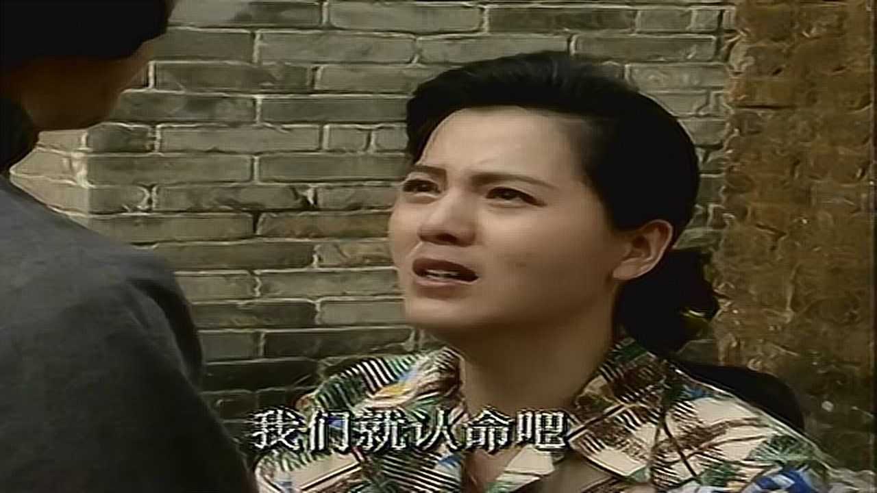 情满珠江 17集