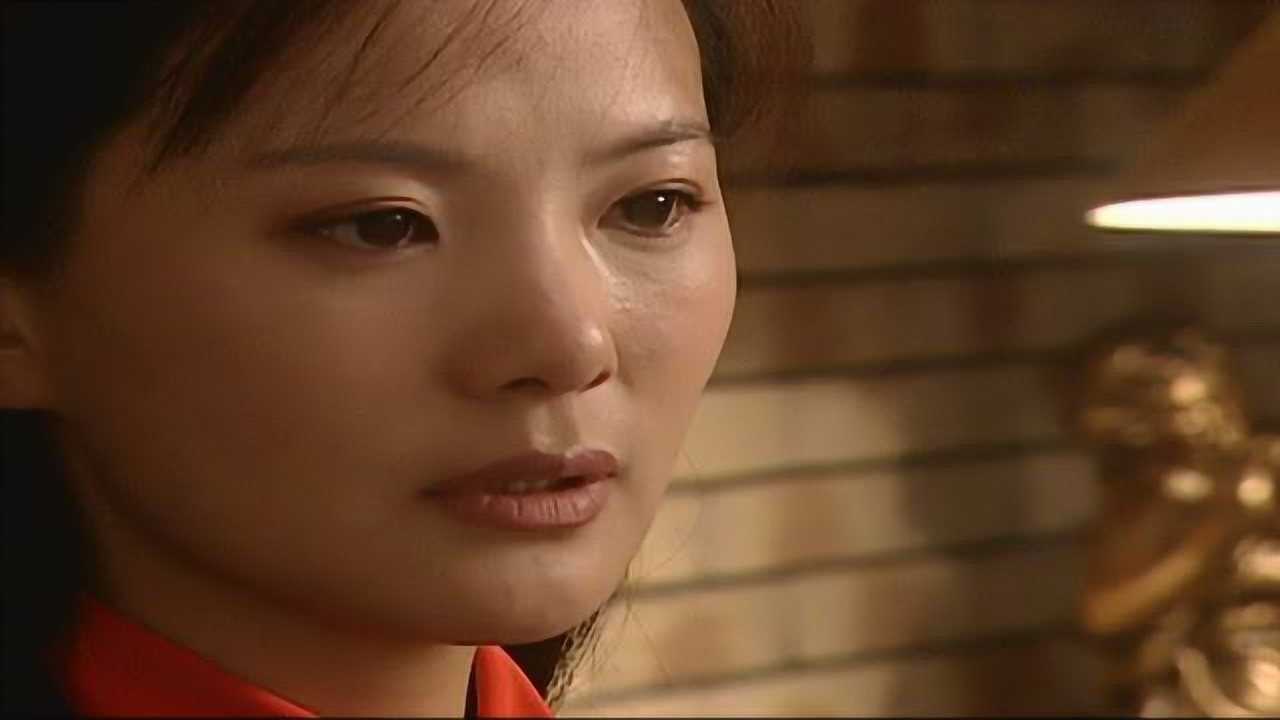 忠诚卫士 15集