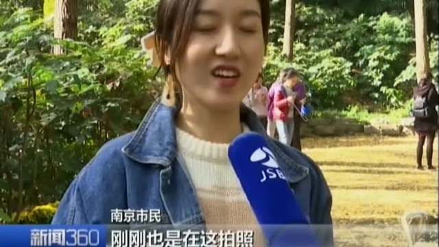 一叶落知天下秋 “落叶不扫”成就深秋美景