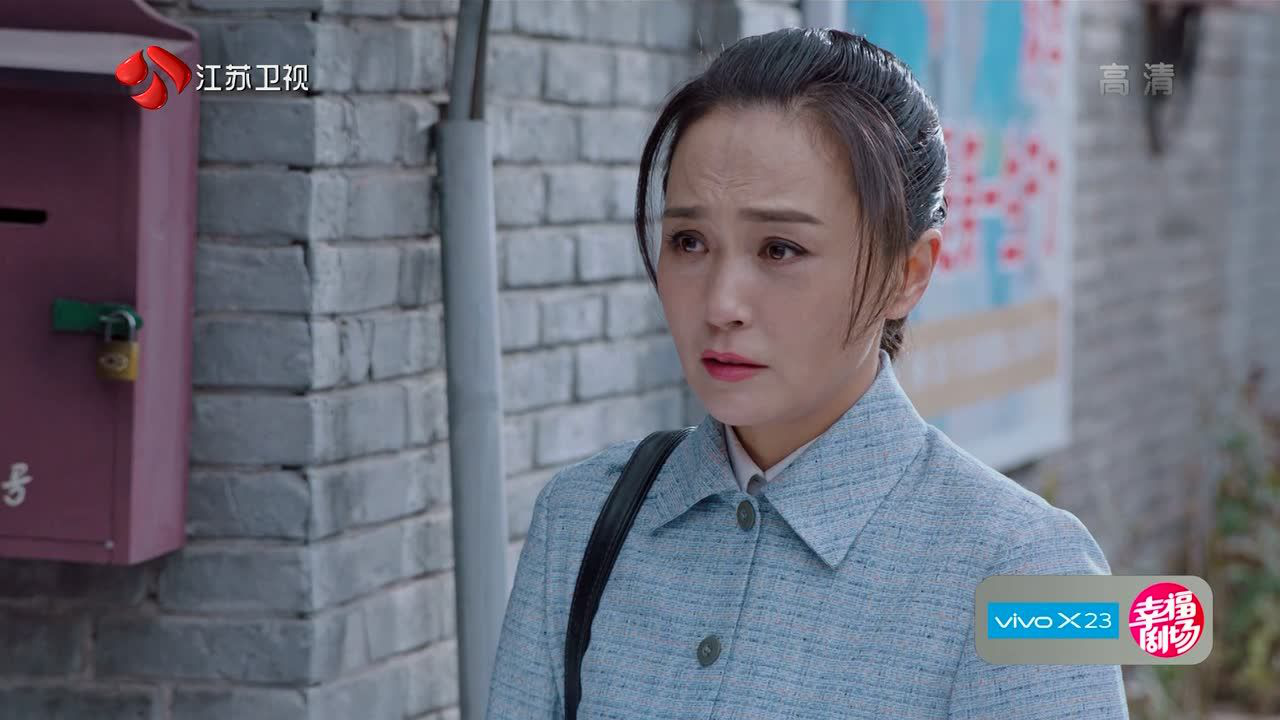 我们的四十年 15集