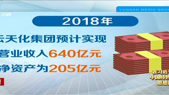 云天化2018年预计实现营收640亿元 聚焦“强主业”“双轮驱动”推动高质量发展