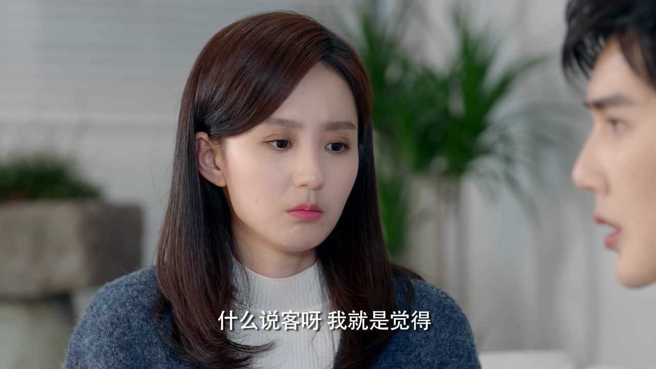 大约是爱 20集