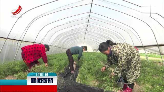 余干县的“特色”脱贫路