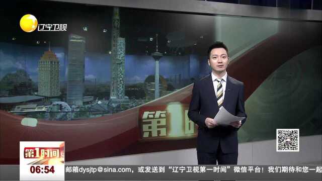 用拼搭致敬城市 沈阳地标建筑“长啥样”?乐高大师告诉你