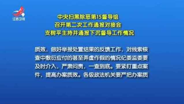 中央扫黑除恶第15督导组 召开第二次工作通报对接会 支树平主持并通报下沉督导工作情况