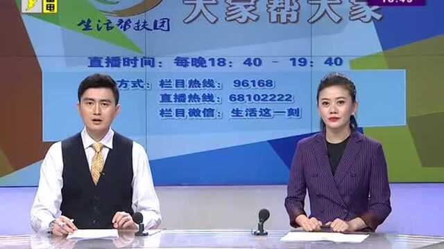 家中来了“不速之客” 棕色小虫如何去除?