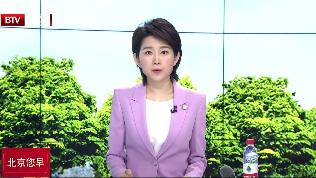 法国国庆阅兵式14日在巴黎举行