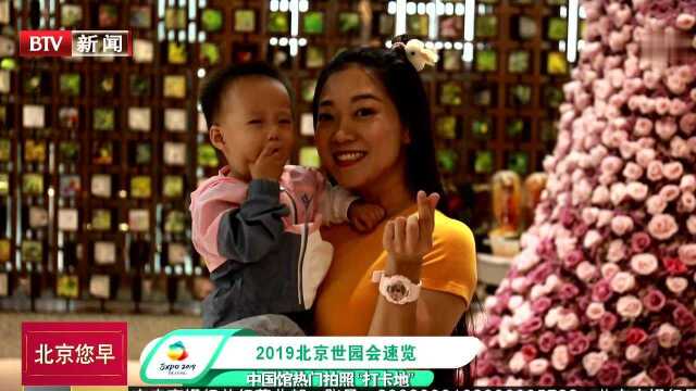 2019北京世园会速览 中国馆热门拍照“打卡地”