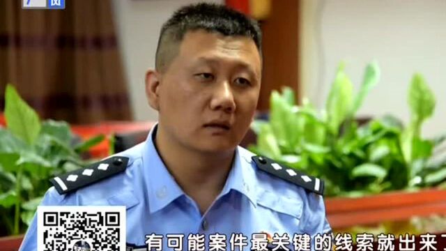 “案虫”——记洋桥派出所民警郑思琪