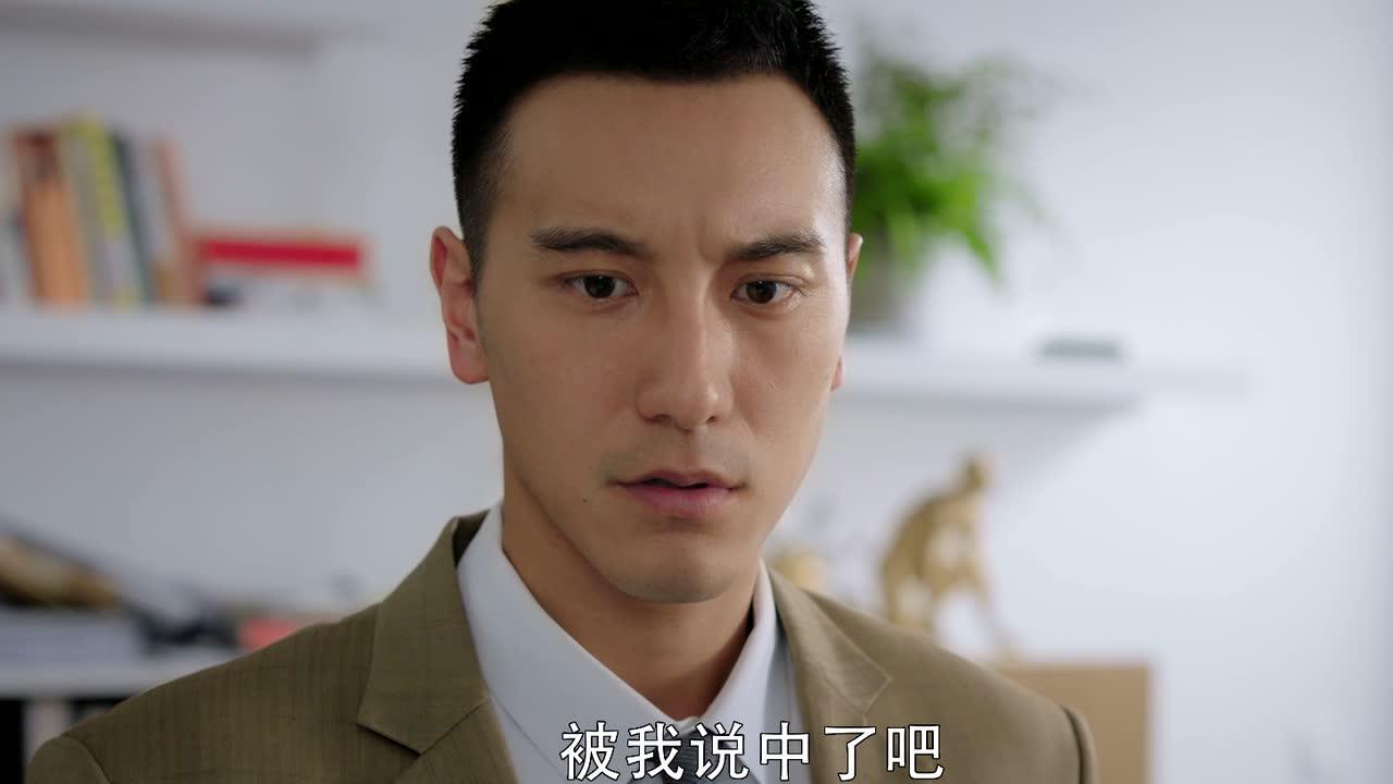 没有秘密的你 20集