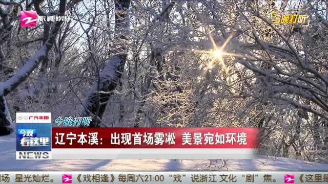 辽宁本溪:出现首场雾凇 美景宛如环境