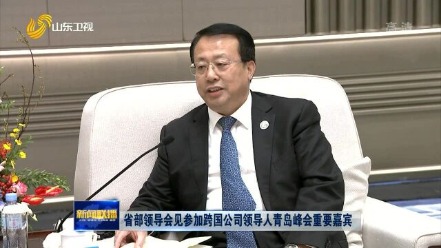 省部领导会见参加跨国公司领导人青岛峰会重要嘉宾