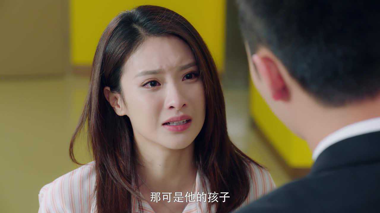 国民老公2 20集