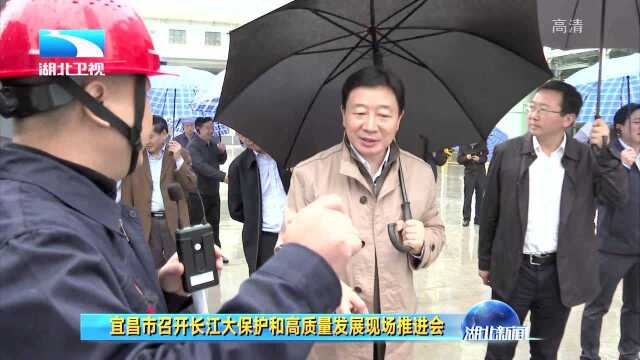 宜昌市召开长江大保护和高质量发展现场推进会