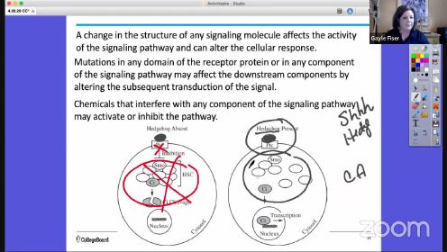 AP Biology_ Cell Communication