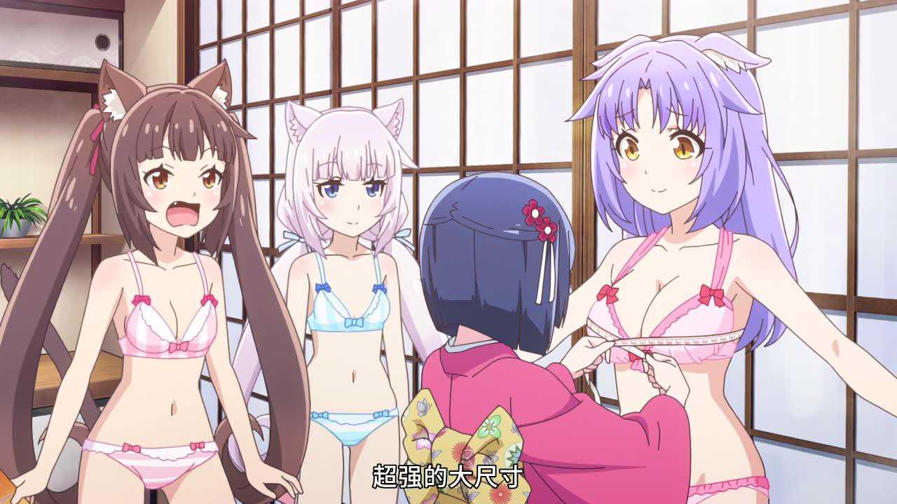 猫娘乐园 4集