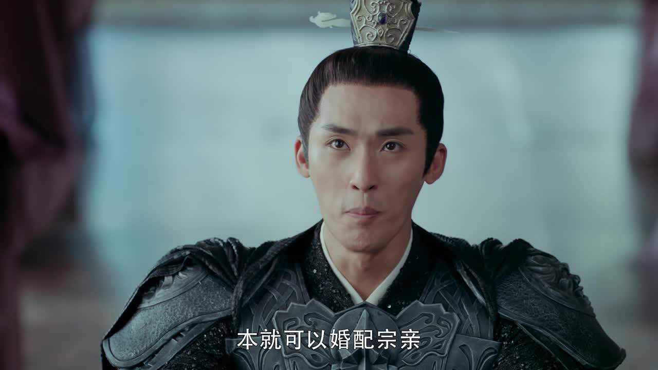 凤归四时歌 29集