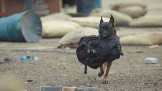 特种兵之霹雳火45精彩片段