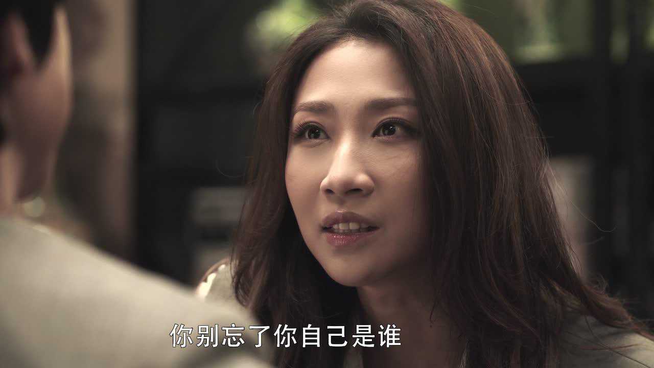 扫黑风暴 21集