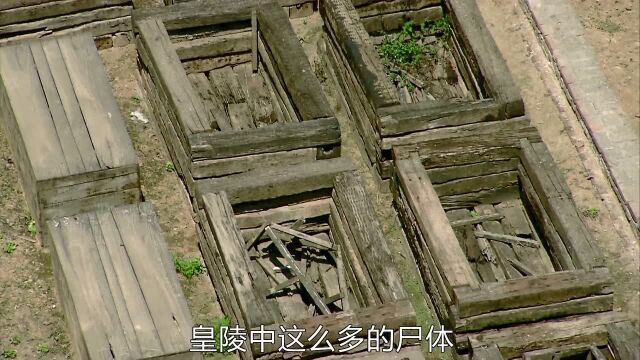 秦始皇建造兵马俑竟因”秦景公“?