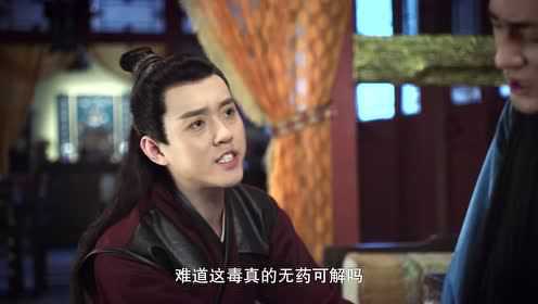 花颜御貌 13集