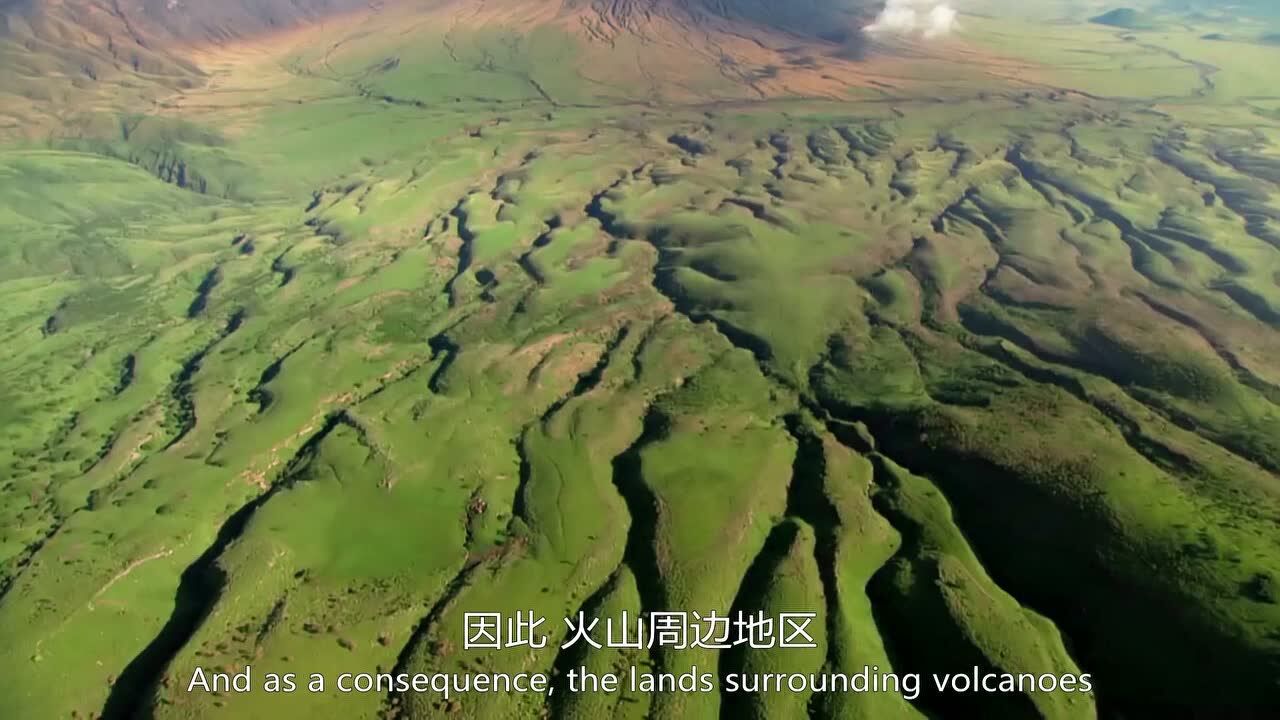  1080P 