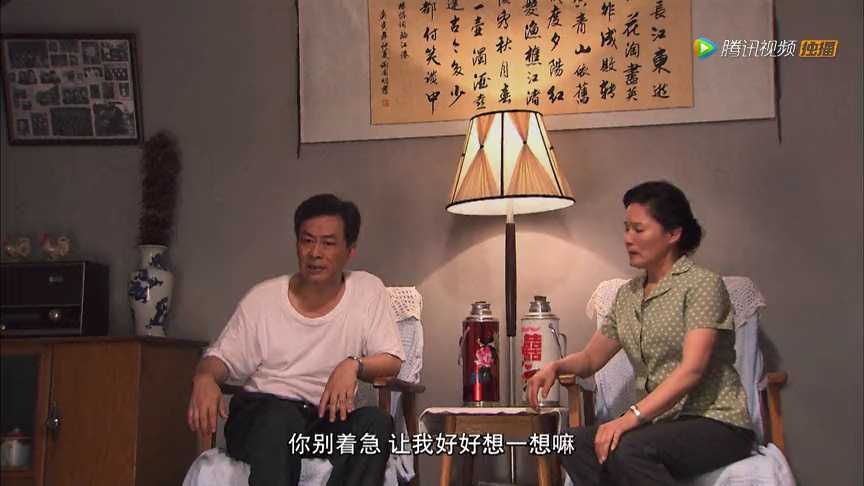 橄榄树 10集