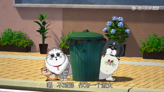 宠物旅店 11集